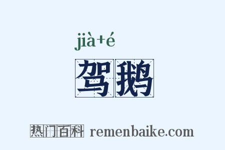 驾鹅是什么意思的图片